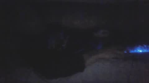 Snapshot of jetjon762844 chatting on February 2026 10:41:01 AM jetjon762844 online show from February 2026 10:41:01 AM