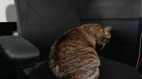 jhnbsomersxh0v1 online show from March 2026 11:11:02 AM