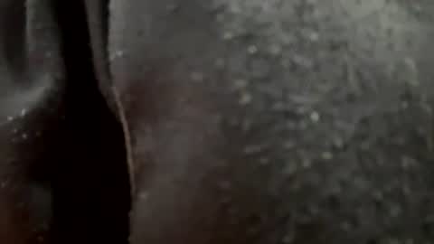 jhosuamoore2 online show from July 2026 11:58:02 PM