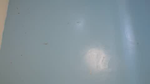 jia lisa online show from February 2026 09:17:01 AM