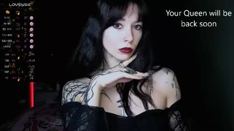 Jill Verdon online show from July 2026 11:17:02 AM