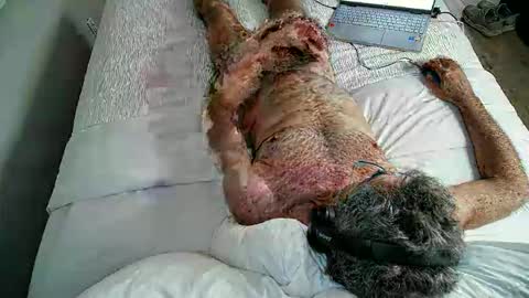 jimjimjim2633 online show from April 2026 12:52:02 AM