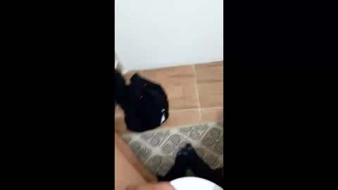 jixldfseepsv online show from January 2026 12:21:01 PM