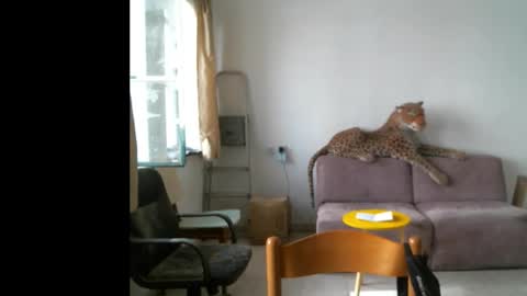 jlmbud online show from September 2025 10:20:02 AM