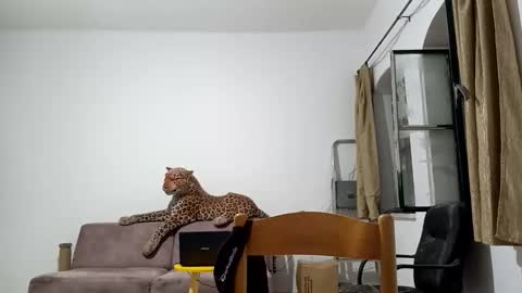 jlmbud online show from October 2025 12:33:02 AM