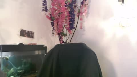 Snapshot of jnick_21 chatting on December 2024 04:17:01 PM Nick online show from December 2024 04:17:01 PM