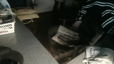 Sissy online show from December 2024 02:28:02 AM