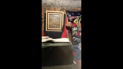 jo575838 online show from April 2026 12:16:01 AM