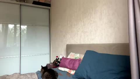 joanaphippin online show from June 2026 06:26:01 AM