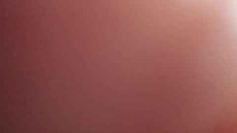 joeevanski online show from November 2025 12:09:02 AM