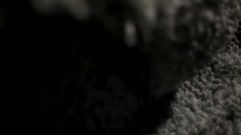 joekent795447 online show from April 2026 04:04:01 AM