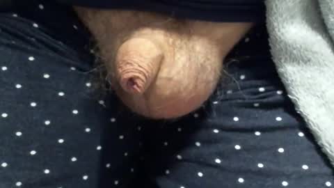 jof075 online show from January 2026 09:39:02 PM