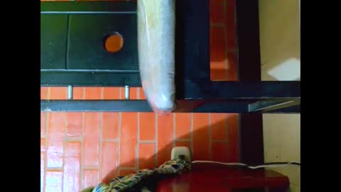 johan70nsexy online show from June 2026 07:36:01 PM