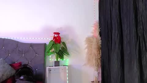 John  online show from February 2026 12:37:02 PM