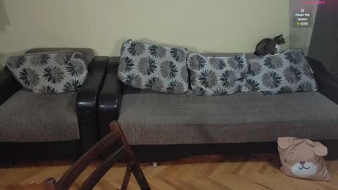 Johnny online show from December 2024 07:36:01 PM