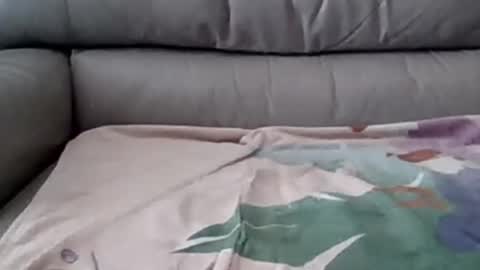 bigger than some online show from March 2025 08:10:02 PM