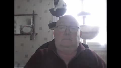 jojo60000529566 online show from December 2024 02:13:02 PM