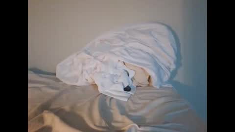 Snapshot of jojooo27 chatting on February 2026 06:48:01 PM jojooo27 online show from February 2026 06:48:01 PM