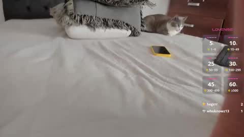 Will online show from March 2026 11:44:01 PM