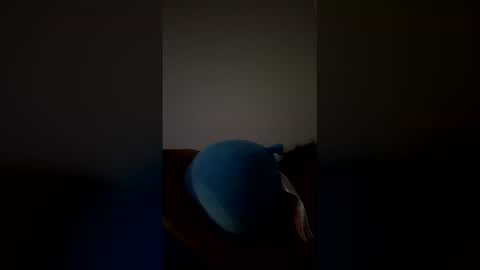 joshua_b11 online show from March 2026 06:46:02 AM