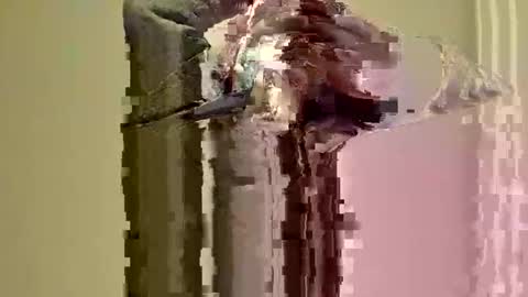joshuatreestroker online show from November 2025 12:21:02 AM