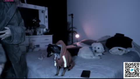 Snapshot of jossephine_ chatting on January 2025 05:49:01 AM josephine independent model online show from January 2025 05:49:01 AM