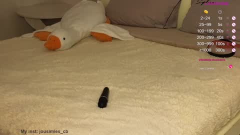 Snapshot of jousimies chatting on December 2024 04:25:01 AM Jane online show from December 2024 04:25:01 AM