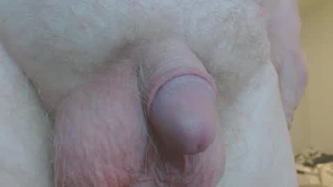 joviedo123 online show from February 2025 04:58:02 AM