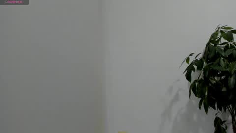 sofiaparker8 online show from July 2026 11:33:01 PM