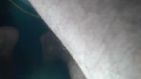 FreshNess online show from September 2025 12:02:02 AM