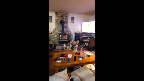 jsteger1465 online show from February 2026 10:35:01 AM