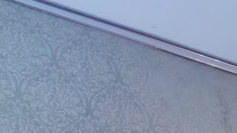 juanita online show from February 2026 05:52:01 PM