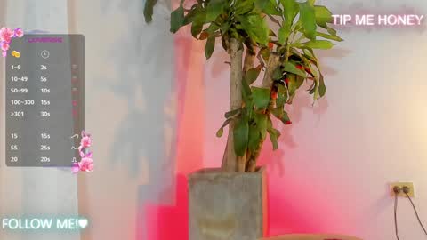 Juan Miguel online show from February 2025 09:46:02 AM