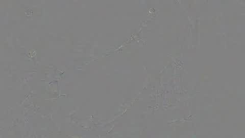 Snapshot of juergen_schoenfeld chatting on November 2025 10:48:01 AM Jrgen Schnfeld online show from November 2025 10:48:01 AM