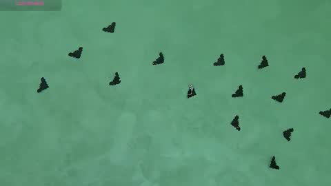 Julia online show from November 2025 08:47:01 AM