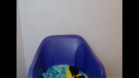 Snapshot of juicyxpink chatting on February 2025 02:16:02 PM juicyxpink online show from February 2025 02:16:02 PM