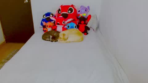  Juliana Torres  online show from February 2026 08:29:01 PM