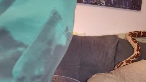 julia_official online show from November 2025 05:02:02 PM