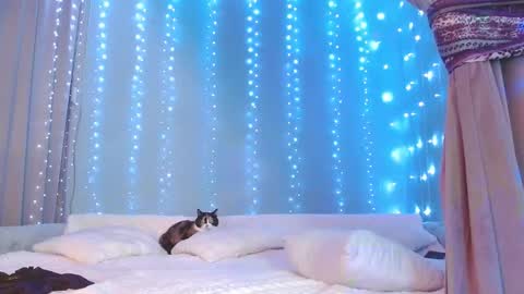 Julia online show from November 2025 07:22:02 AM