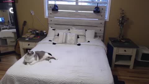 Snapshot of julianaxxxrose chatting on January 2025 03:33:01 PM Texas Mamasita online show from January 2025 03:33:01 PM