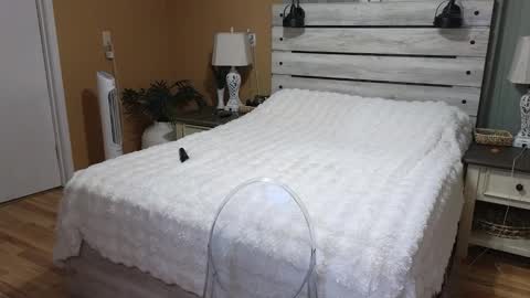 Snapshot of julianaxxxrose chatting on March 2026 03:30:01 PM Texas Mamasita online show from March 2026 03:30:01 PM