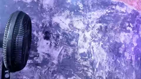 julietakane online show from March 2026 06:08:01 AM