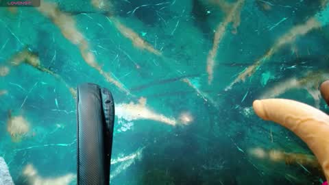    online show from September 2025 04:50:02 AM