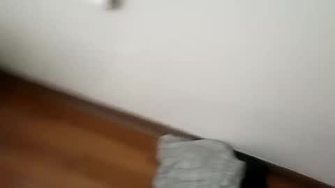 manolito online show from January 2025 06:15:02 AM