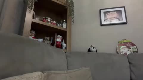 Snapshot of junky345 chatting on December 2024 07:21:02 PM Junky online show from December 2024 07:21:02 PM