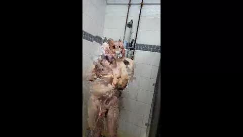 Just a Toy Soldier online show from April 2026 05:13:02 PM