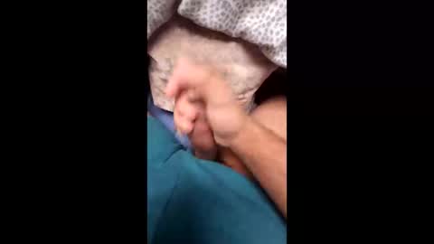 justingodla20 online show from September 2025 05:03:01 PM