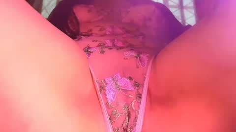 Katt your neighborg online show from August 2026 04:38:02 PM