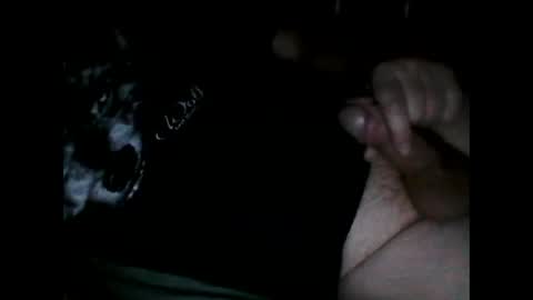 justpervfun online show from December 2024 06:39:02 PM