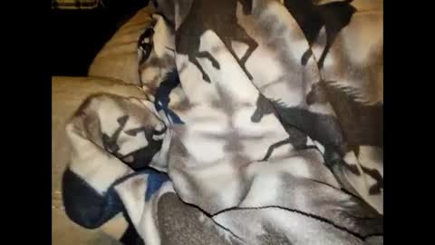 justswack online show from December 2024 08:44:02 AM